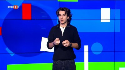 Пчелите в Перу вече имат собствени права