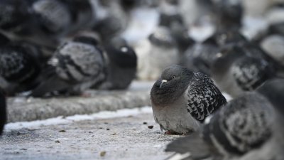 Significantly Warmer Weather Expected in the Coming Days