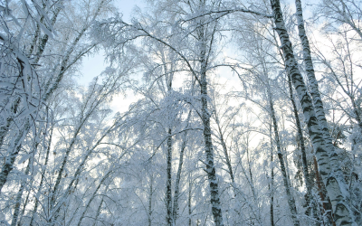 Температурите падат до минус 10 градуса