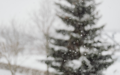 Жълт код за студ в цялата страна