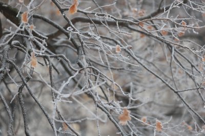 Нова студена вълна обхвана България &ndash; до кога ще продължат ледените дни?