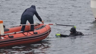България получи изключително високо международно признание в областта на културното