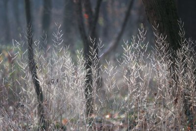 Днес времето ще остане много студено Минималните температури ще са