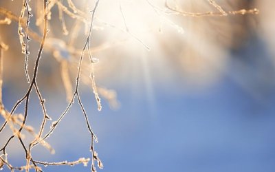 Валежите ще отслабнат и постепенно ще спрат