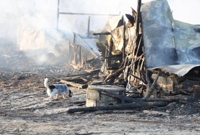 Пожар изпепели историческия комплекс Фанагория във варненския квартал Аспарухово Пострадали