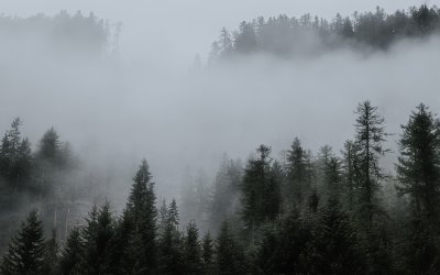 Мъглата остава, слънцето се показва по-късно