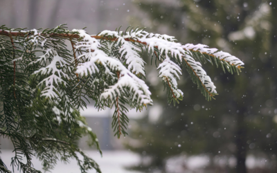 Weather: Rain Will Change to Snow, Forming a New Layer of Snow