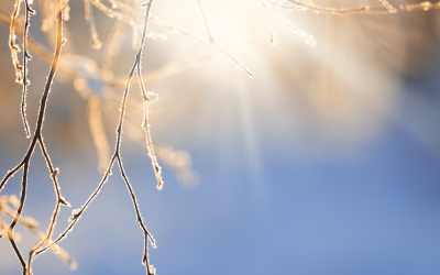 Максимална температура от 14 градуса на сянка беше измерена днес