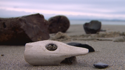 "В търсене на потънали светове": Какво откриват водолазите по дъното на Чено море?