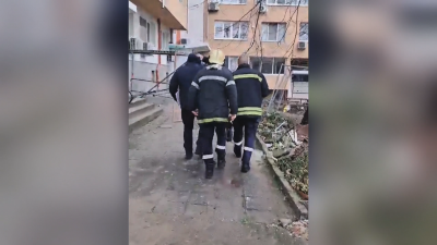 Бездомна котка беше зазидана в подстълбищна площадка при саниране на