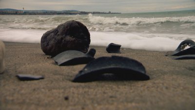 Утре вечер в 21 30 часа зрителите на БНТ ще