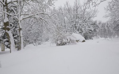 Рязка промяна на времето в неделя: сняг, виелици и навявания