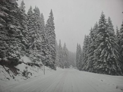 Обилен сняг вали в Родопите и бързо натрупва нова снежна