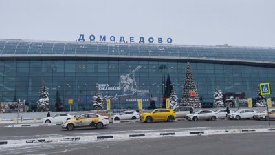 Московското летище Домодедово беше обявено за продан на търг с