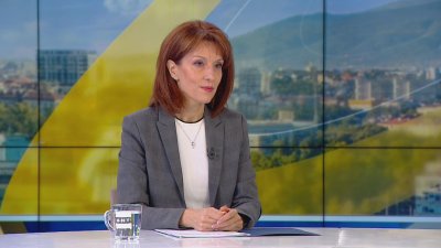 Камелия Нейкова за изборните секции в чужбина: Решението е политическо