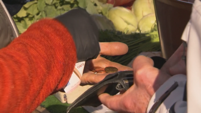 OECD: Bulgaria Has the Highest Rate of Elderly Poverty