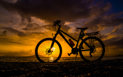 Историята на семейство Нашеви е завладяваща Приключенци за които пътуването