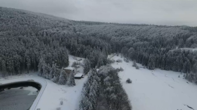 Сдружението нарекло себе си Национална агенция за контрол на защитетитени