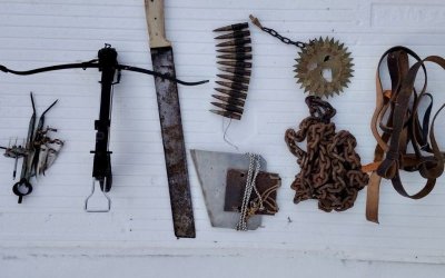 Съдът в Свищов ще гледа мерките на двамата задържани за насилие над животни в село Царевец