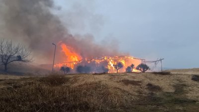 Горя заведение на плажа в Слънчев бряг