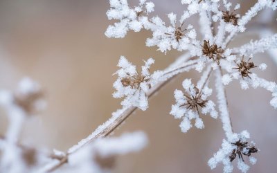 Кратко затопляне, после пак зима