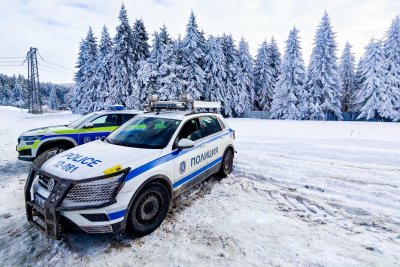 Сигналът за 8-годишния, изпратен да живее с "рейнджърите" в "Петрохан"