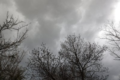 Утре преди обяд облачността ще е значителна а над Северозападна