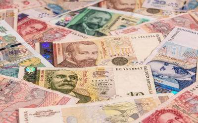 Fiscal Council Delivers Critical Assessment of Bulgaria's 2025 Budget Execution