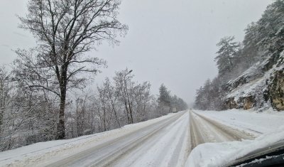 Множество автомобили са закъсали по пътя към курорта Пампорово съобщи
