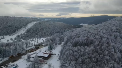 Случаят Петрохан предизвика множество обществени реакции и конспиративни теории В