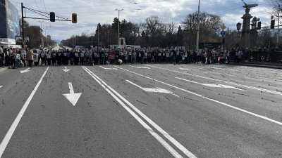 С 456 карамфила в памет на жертвите по пътищата протестиращи блокираха Орлов мост