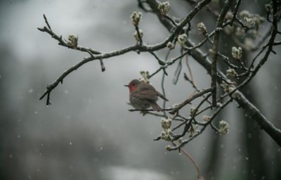През нощта облачността ще е значителна и на места в