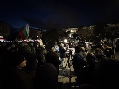 От БОЕЦ излязоха на протест тази вечер пред сградата на