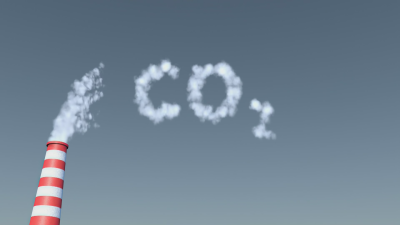 Мъжете или жените имат по висок въглероден отпечатък Всъщност всичко