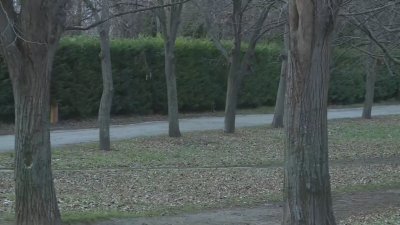 Тежко остава състоянието на мъжа, намушкан с нож в Морската градина във Варна