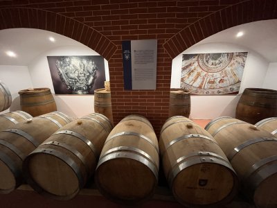 17 винарни по поречието на Струма отвориха врати за Трифон Зарезан