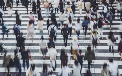 "Маркет линкс": Всеки четвърти би гласувал за Румен Радев