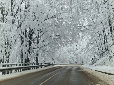 Усложнена е пътната обстановка в област Велико Търново В района