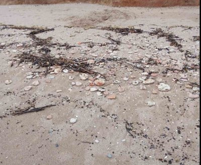 Плажната ивица от Крапец до Езерец е замърсена с нефтопродукти