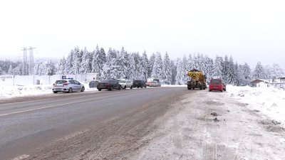 В "Референдум: Драмата "Петрохан" &ndash; растящо недоверие към институциите