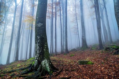 На 24 юни 2026 г в деня когато се почита