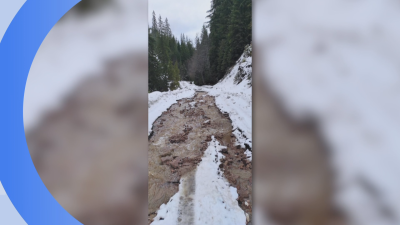 Цяла нощ два екипа на снегопочистващи фирми работеха по почистването