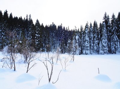 Weather Forecast: Rain and Snow, Strong Winds and Temperature Changes