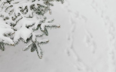 Съществено и трайно затопляне се очаква през новата седмица Преди