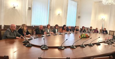 ЦИК ще пита ЕК за забраната на Цицелков да наблюдава избори