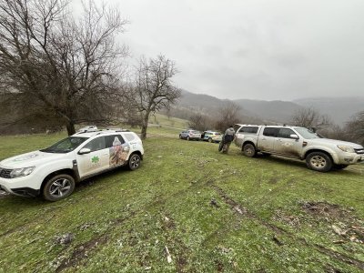 Отравяне с антифриз е най-вероятната причина за смъртта на лешоядите в Котленско