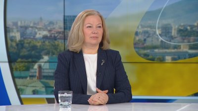 Надежда Йорданова, ПП-ДБ: Ограничаването на секциите в чужбина не решава нито един реален проблем