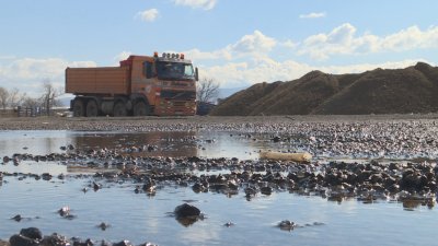 Сигнал до МВР и прокуратурата за "такса спокойствие" в Долни Богров