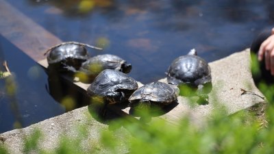 Топло време в първите дни от месец март
