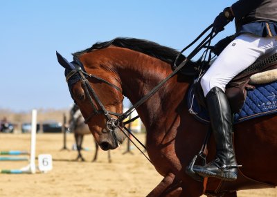 Празник с коне и традиции за Тодоровден в Бачево